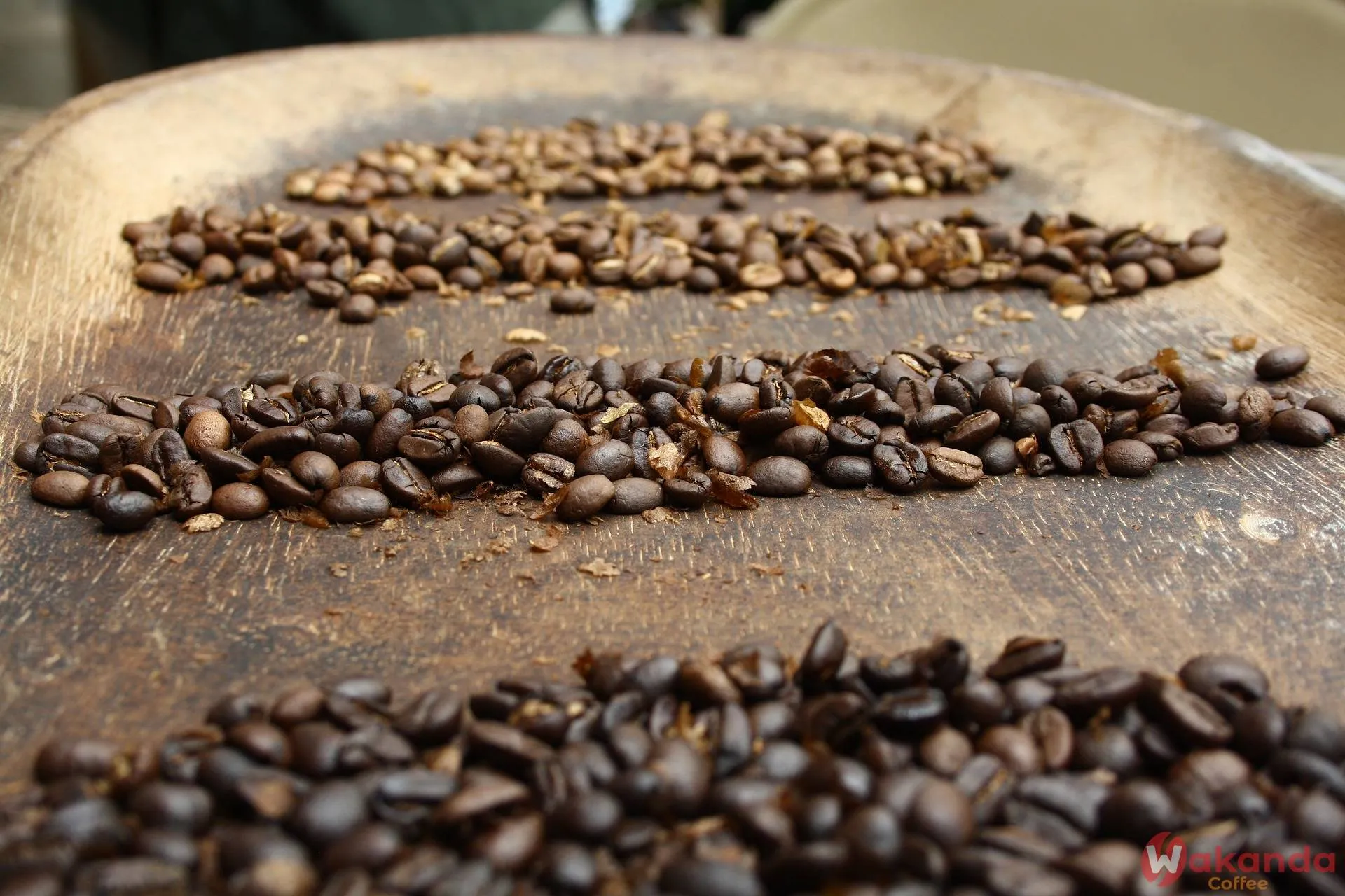 Grade AA coffee beans