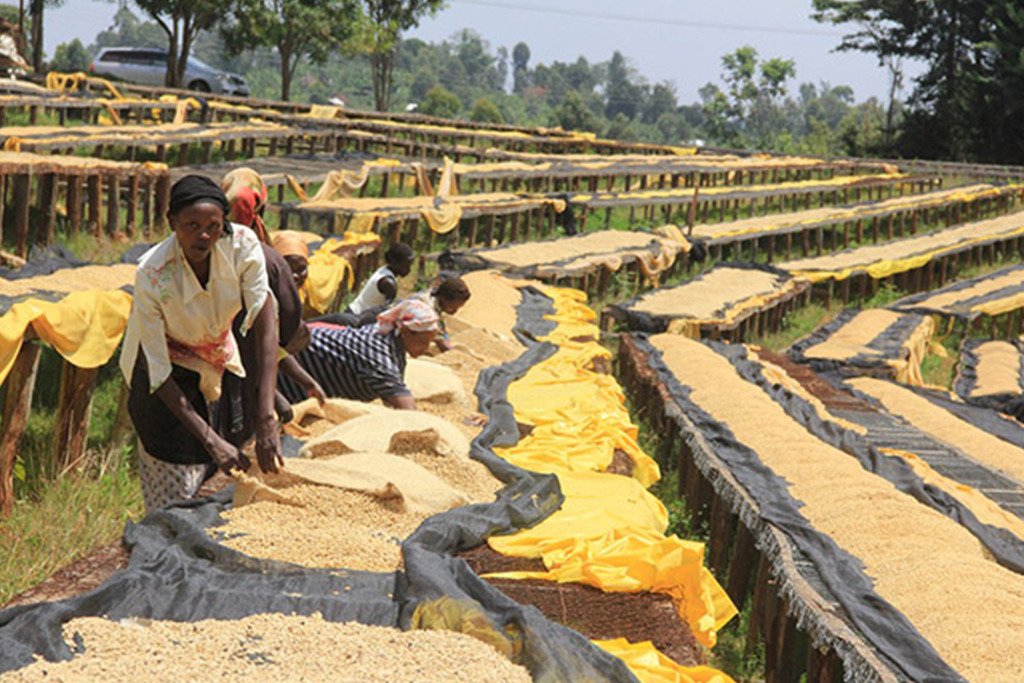 Cooperative Development