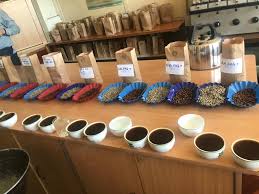 Processing & Quality Control